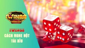 biết cách nghe hột tài xỉu dựa trên các loại hột đa dạng